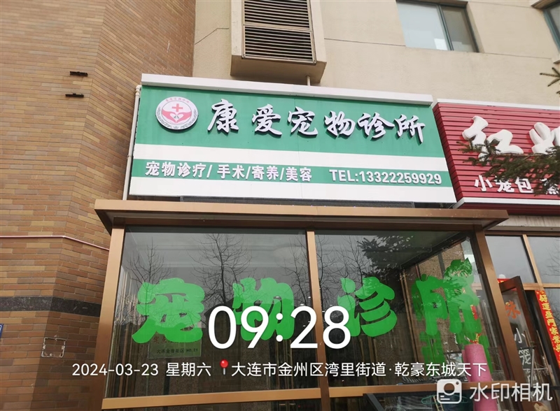 康爱宠物诊所的图标